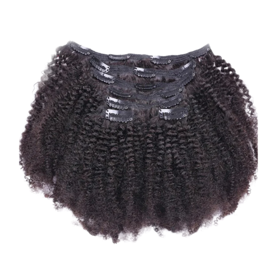 Brazilian Afro Kinky Curly Clip In Human Hair Extensions